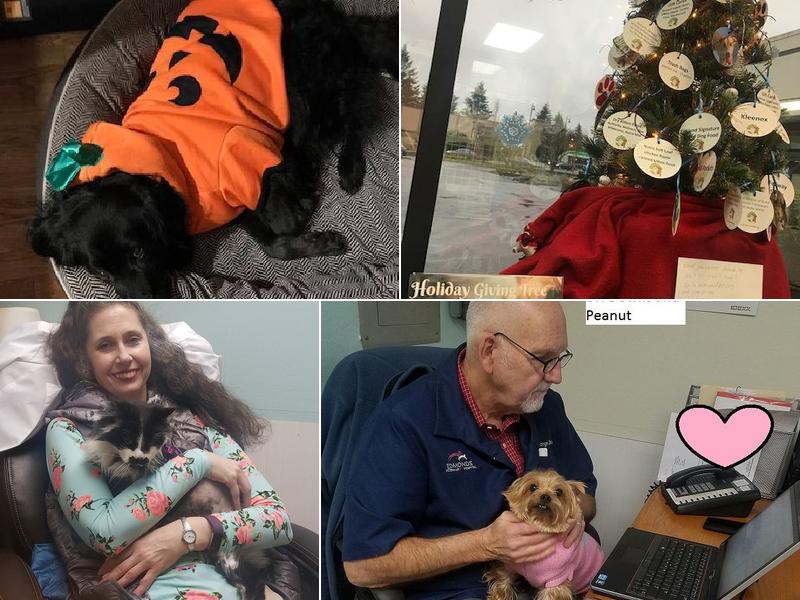 Edmonds Veterinary Hospital: Robyn Fry DVM