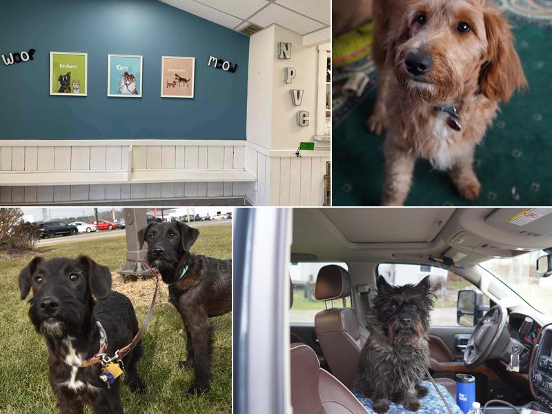 New Pittsburg Small Animal Clinic