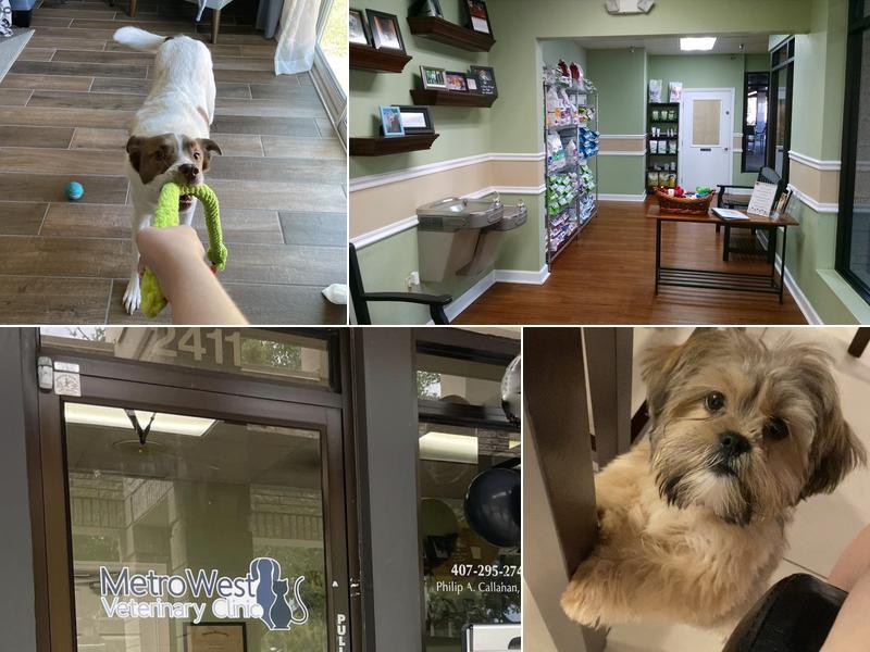 MetroWest Veterinary Clinic