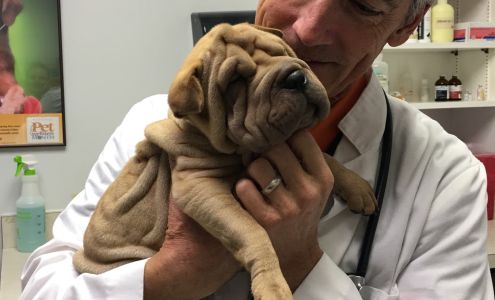 Pine Castle Animal Clinic