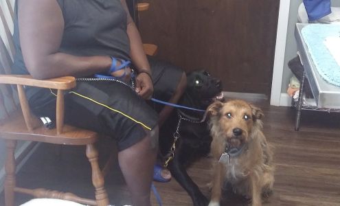 Twin City Veterinary Outpatient Clinic 128 N Uhrich St #1807, Uhrichsville Ohio 44683