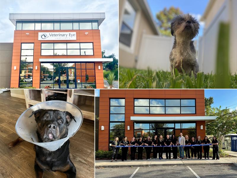 Veterinary Eye Institute Orlando