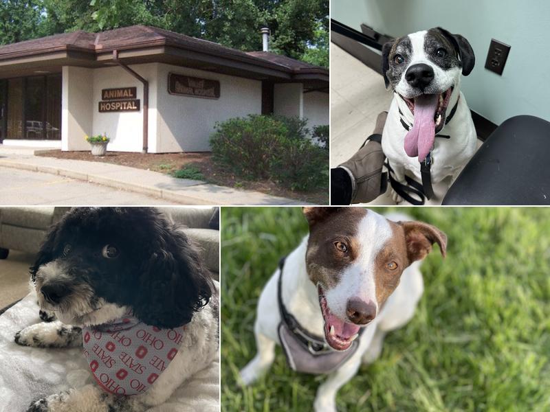 Valley Animal Hospital