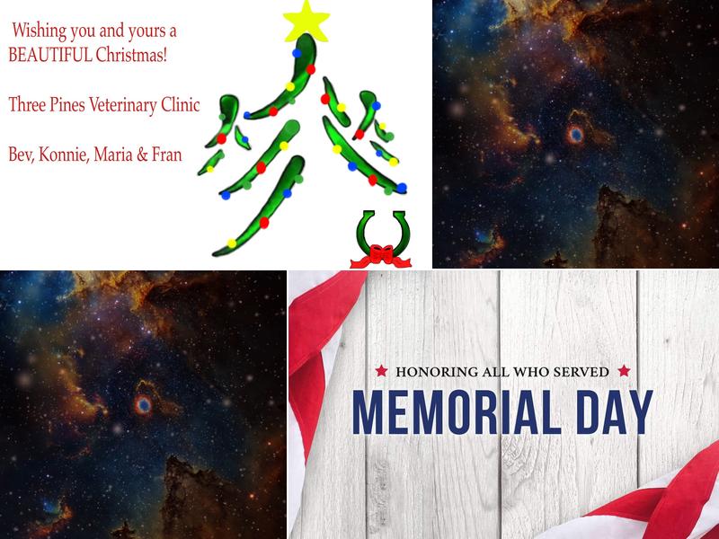 Three Pines Veterinary Clinic