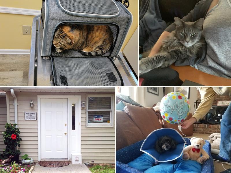 Hatfield Veterinary Clinic