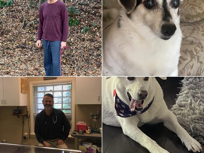 All Creatures Veterinary