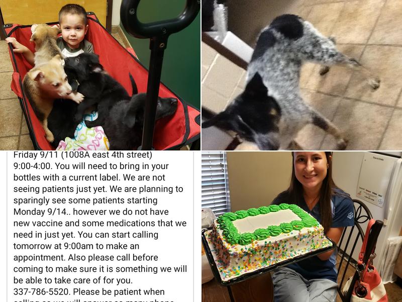 Southwest Louisiana Vet Clinic: Meaux Michael DVM