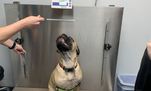 Brentwood Animal Clinic 4605 Brentwood Ave, Jacksonville