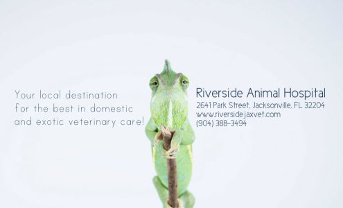 Riverside Animal Hospital