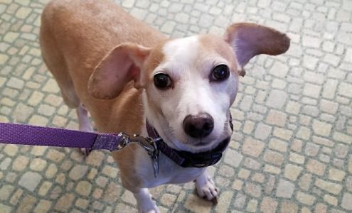 Pottsburg Creek Animal Clinic