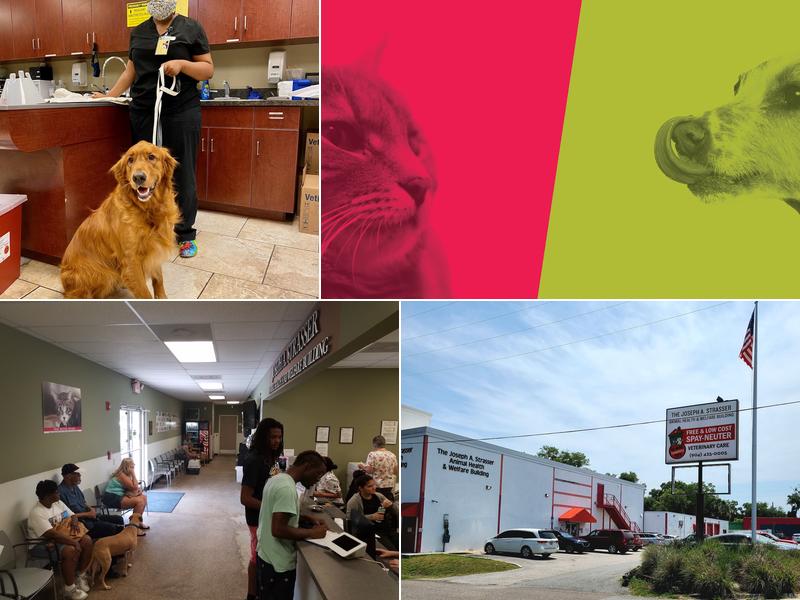 First Coast No More Homeless Pets