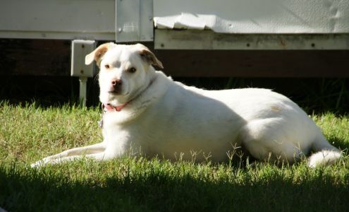 Beltway Animal Hospital