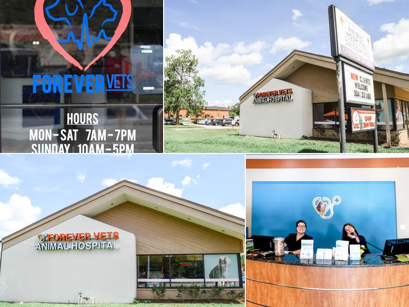 Forever Vets Animal Hospital at Baymeadows