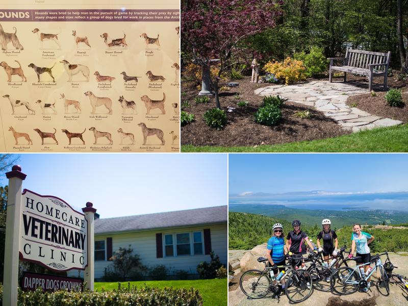 HomeCare Veterinary Clinic