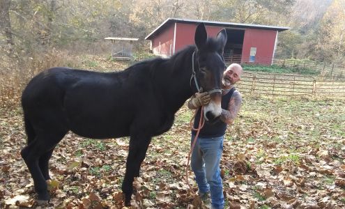 Brookville Veterinary Clinic 10002 IN-1, Brookville Indiana 47012
