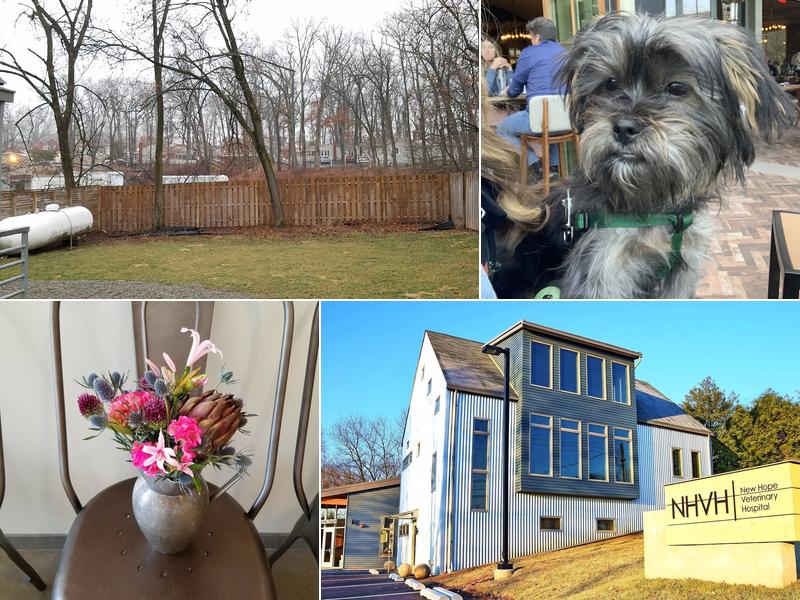 New Hope Veterinary Hospital