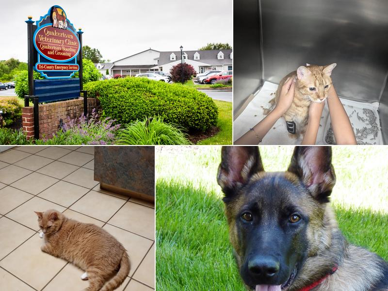 Quakertown Veterinary Clinic