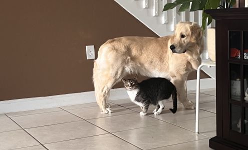 Parajon Animal Clinic