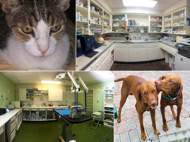Ponce De Leon Animal Clinic
