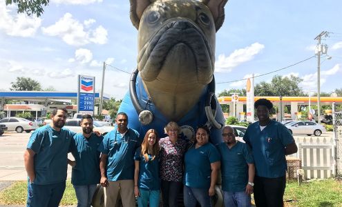 Miami Shores Animal Clinic