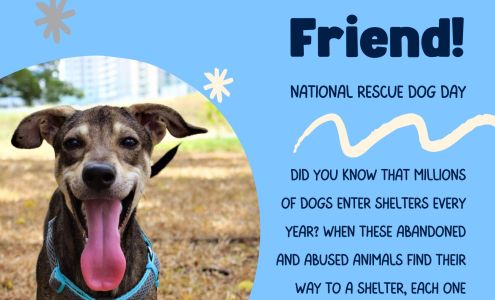 Williamsburg Veterinary Clinic: Hayes C Michael DVM