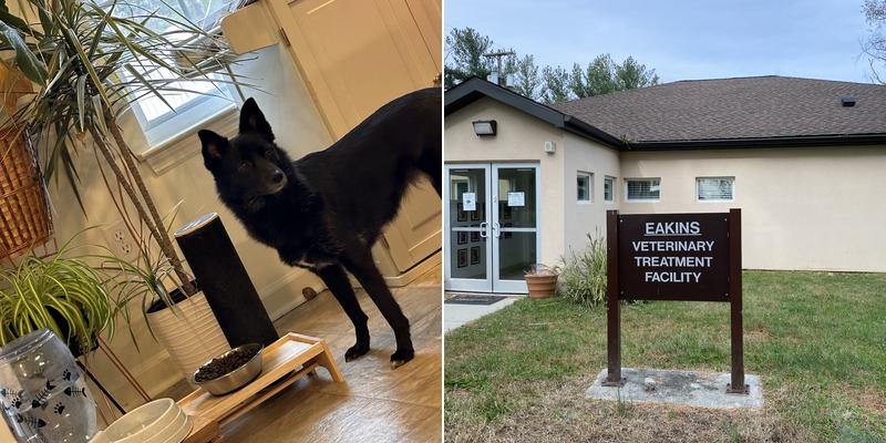 Joint Base MDL Veterinary Clinic