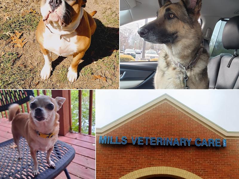 Mills Veterinary Care