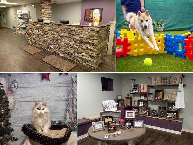 Heartland Veterinary and Boarding