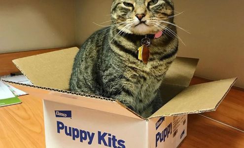 West Orange Veterinary Hospital at Stoneybrook