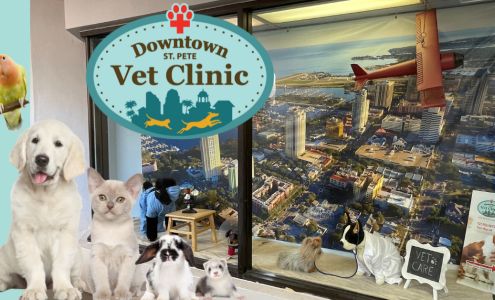 Downtown St. Pete Vet Clinic 111 2nd Ave NE Suite 113, St. Petersburg Florida 33701