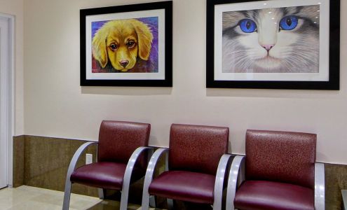 Pet Lovers Animal Clinic @SW 8th St