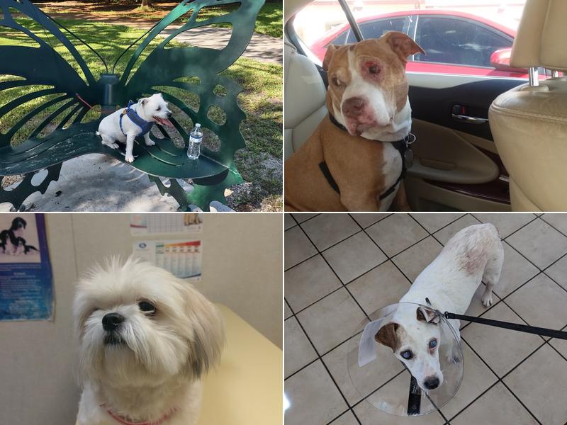 Farley Veterinary Clinic