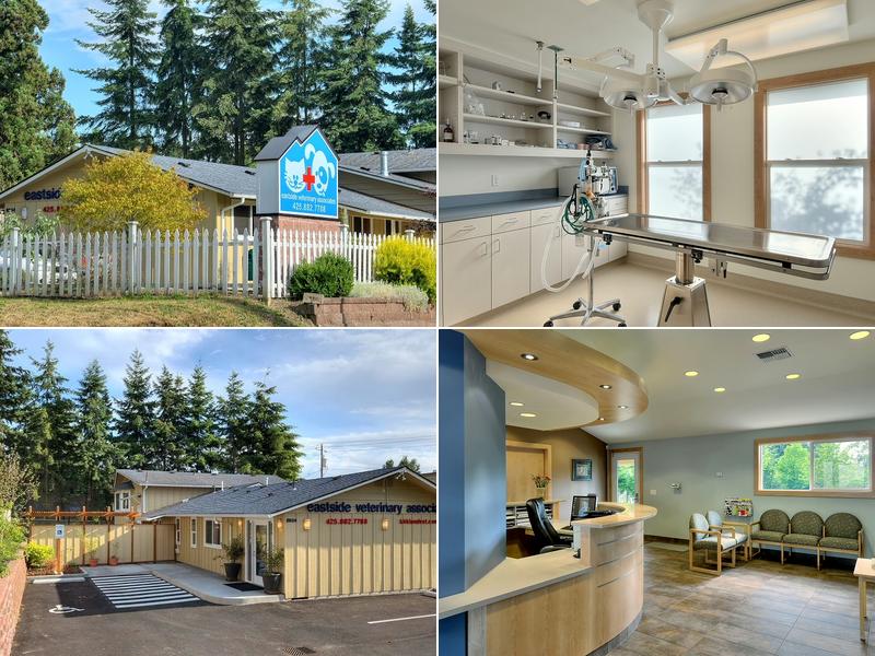 Eastside Veterinary Associates -Kirkland