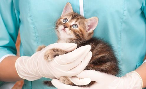 Cross Creek Animal Clinic