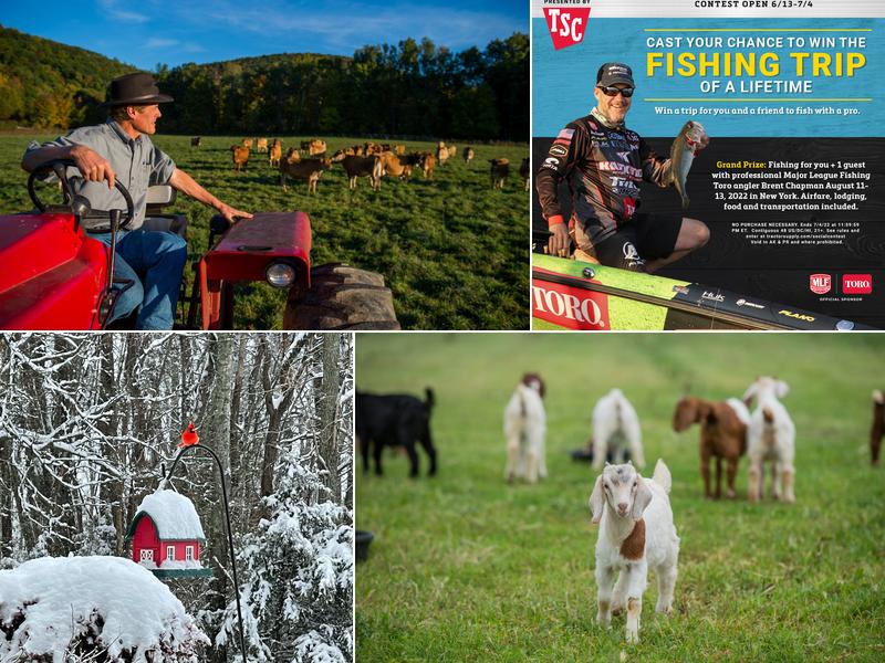 Pet Vaccination Clinic at Tractor Supply Co.