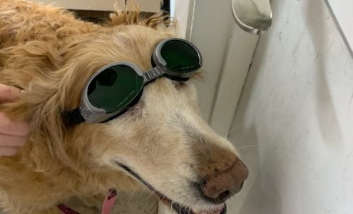 Apalachicola Bay Animal Clinic