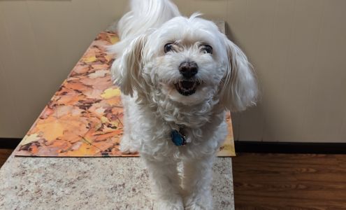 Timberlane Animal Hospital