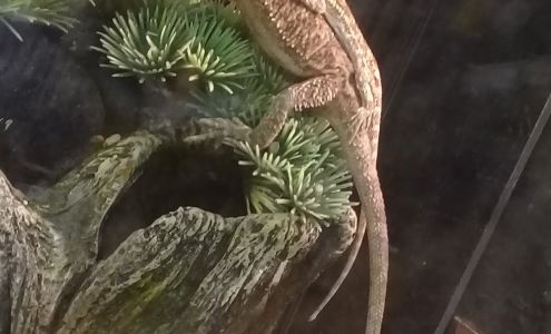 Vet Wellcare Vaccinations Clinic at Pet Supermarket Fort Lauderdale