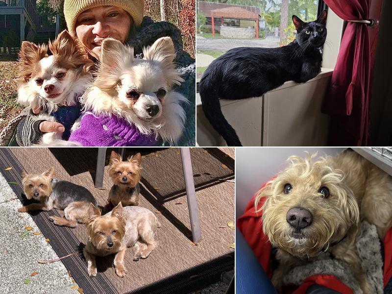 Sheridan Animal Hospital