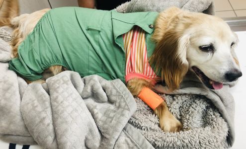 Iowa Veterinary Specialties