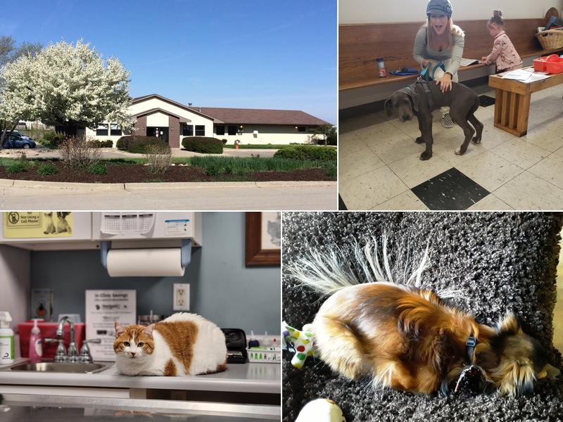 Broderick Animal Clinic