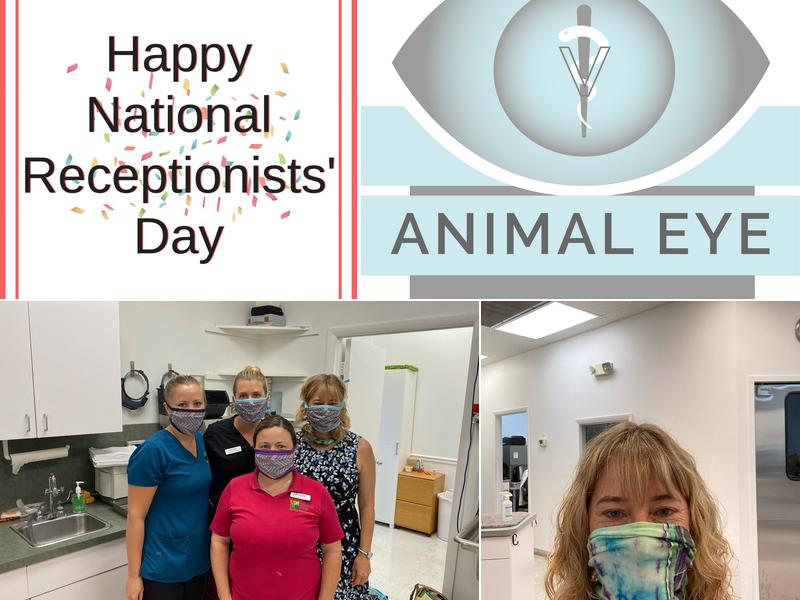 Veterinary Eye Institute