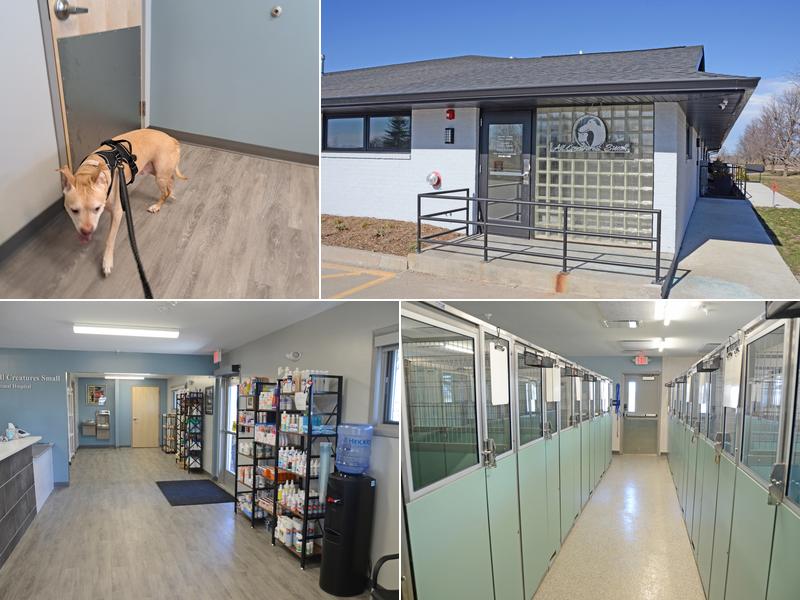 All Creatures Small Animal Hospital