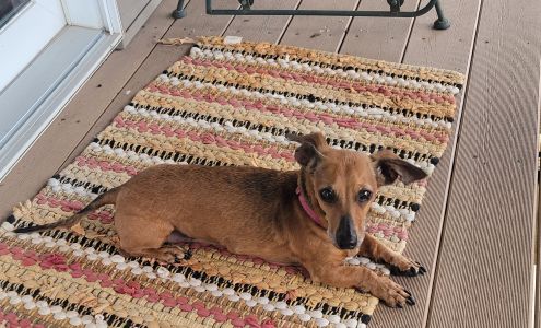 Midland Prairie Veterinary Services Huxley