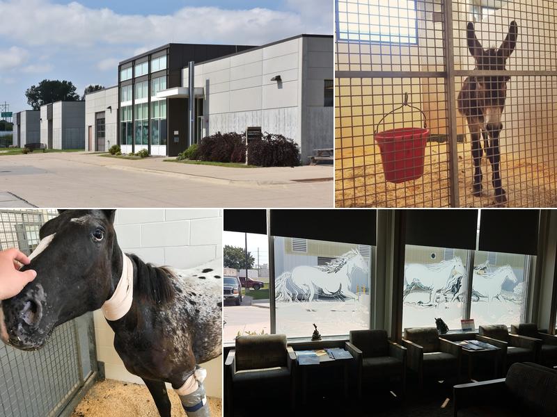 Large Animal Hospital