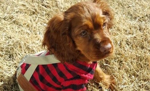 Lloyd Veterinary Medical Center