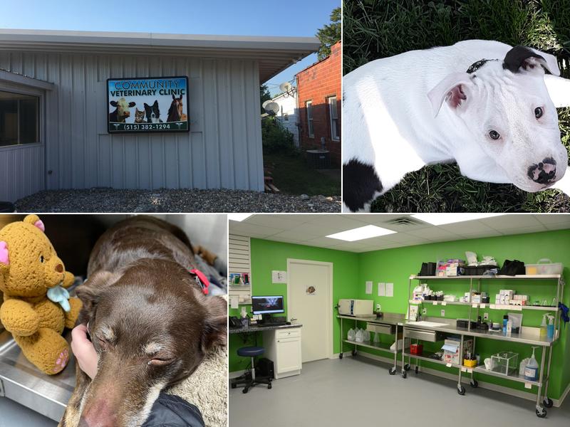 Community Veterinary Clinic