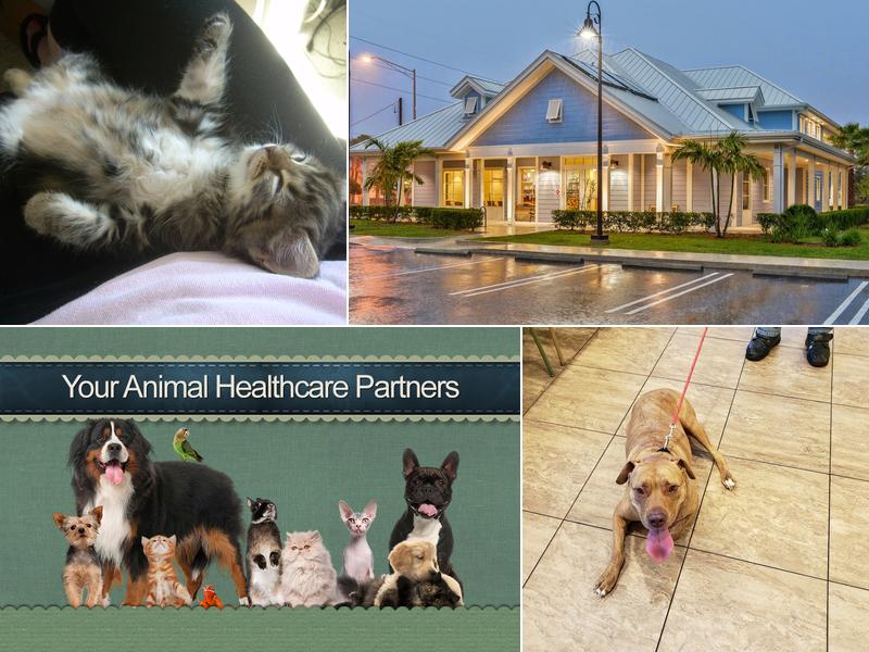 Morningside Animal Hospital