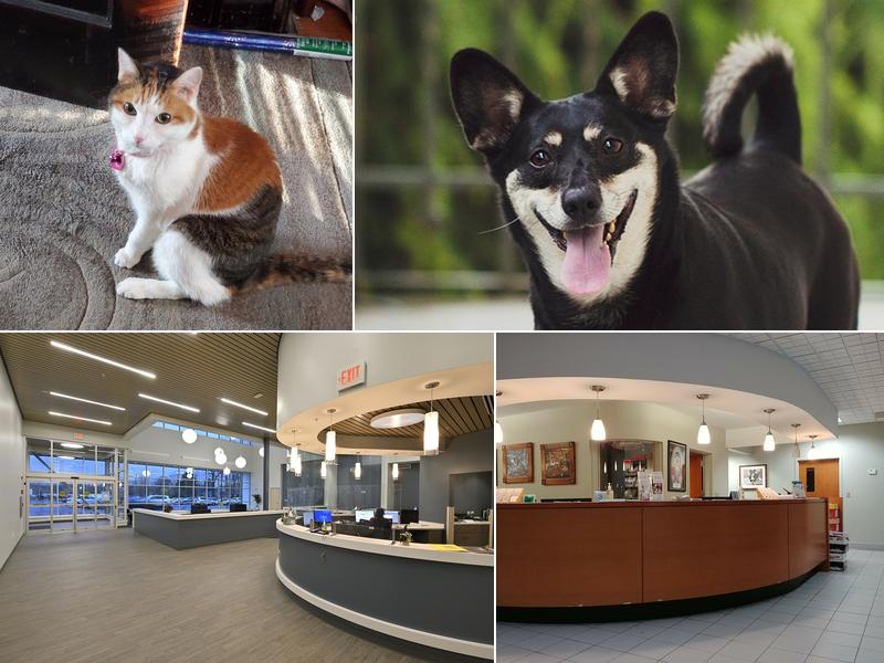 Round Valley Animal Hospital-Dr. Lorraine Marks