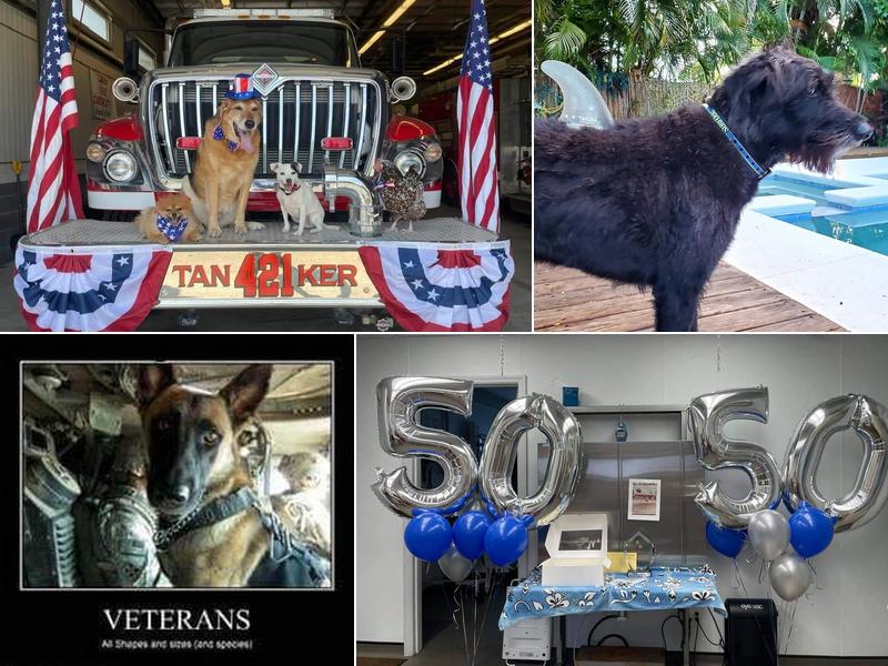 Monterey Animal Clinic: Hooks Charles DVM